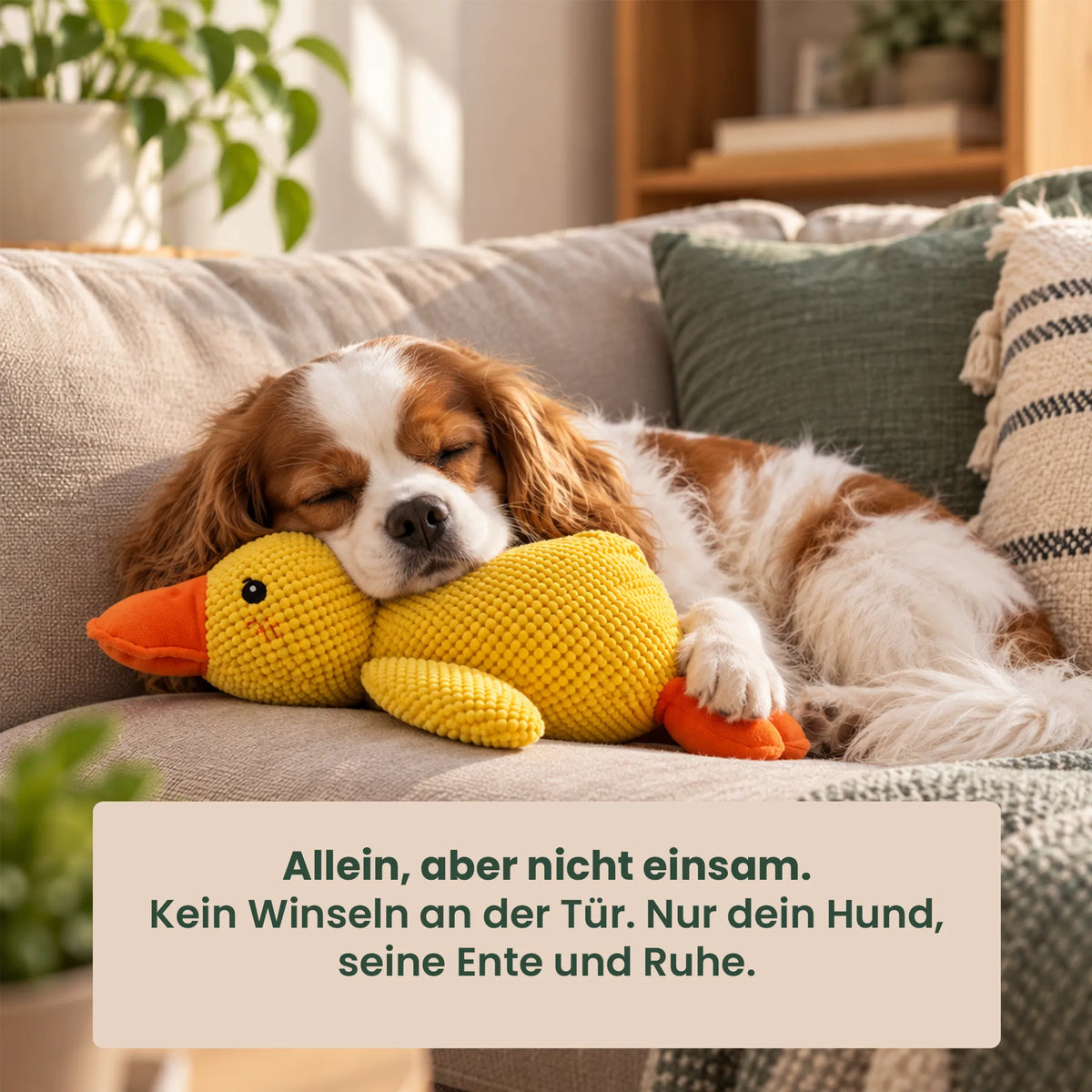 XXL Anti-Stress-Ente