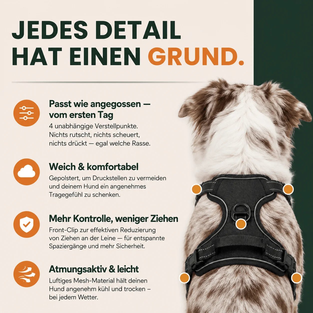 Produktdetails am Rücken des Hundes: 4 Verstellpunkte, weiche Polsterung, Front-Clip gegen Ziehen und atmungsaktives Mesh