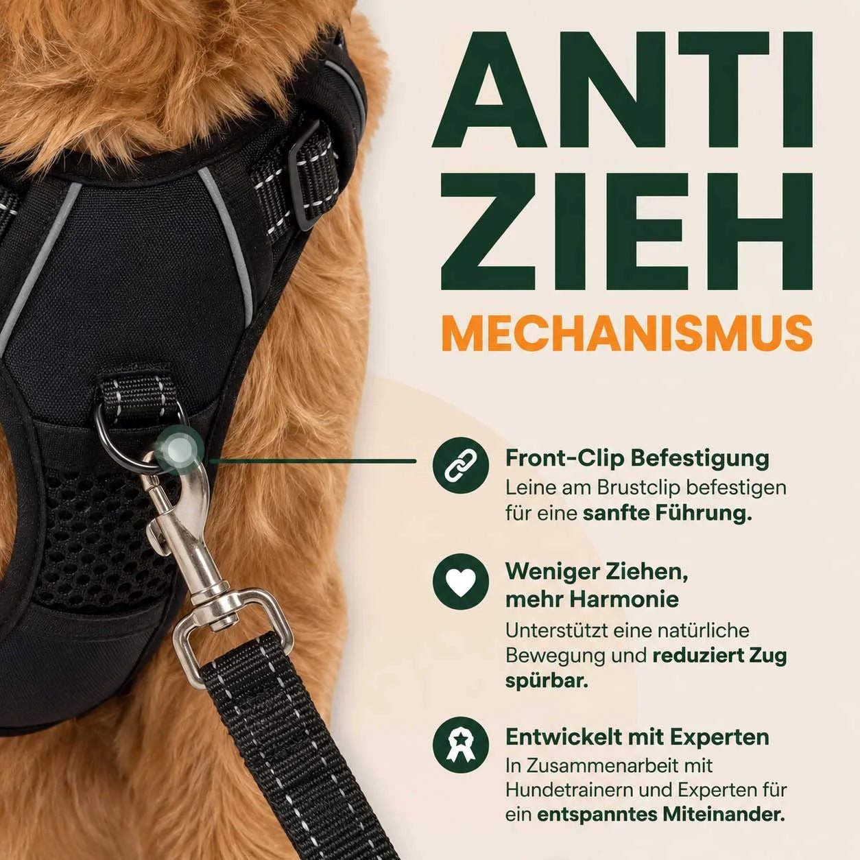 Anti-Zieh-Mechanismus erklärt: Front-Clip-Befestigung für sanfte Führung, weniger Ziehen und mehr Harmonie