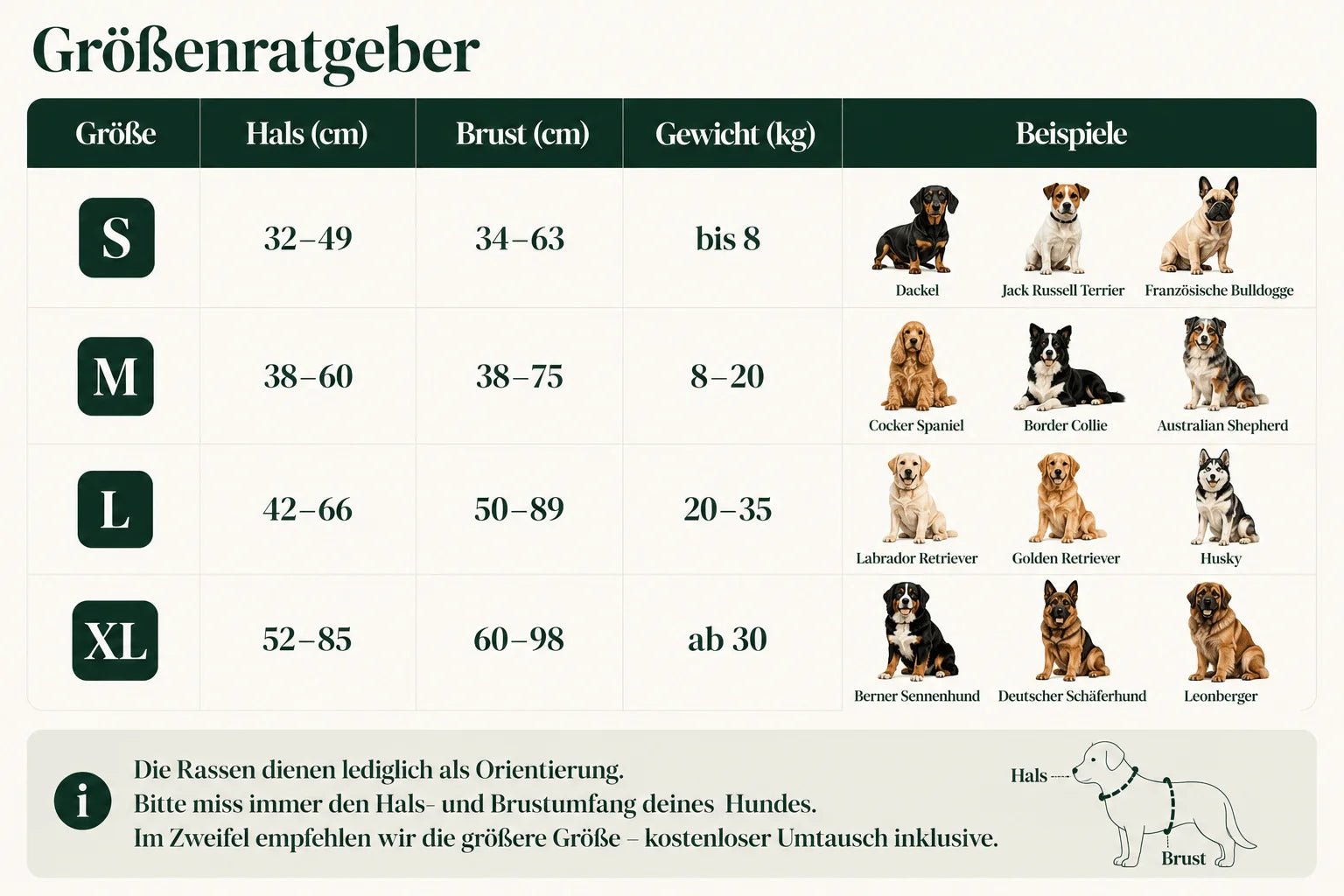 Größenratgeber-Tabelle: Größen S bis XL mit Hals- und Brustumfang, Gewicht und Beispielrassen vom Dackel bis zum Leonberger