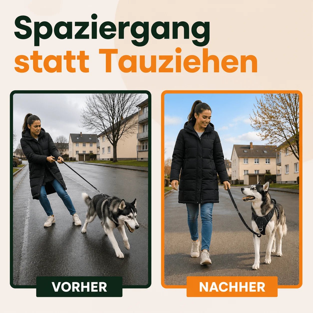 Vorher-Nachher: Husky zieht stark an der Leine, danach entspannter Spaziergang mit Anti-Zieh-Geschirr