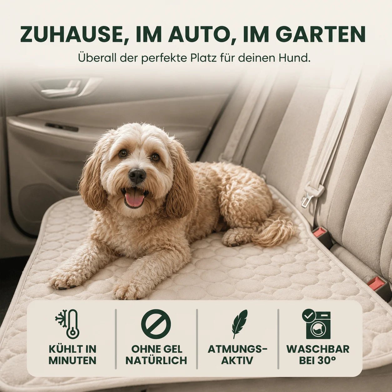 Kühlmatte in Beige auf dem Autorücksitz – Cockapoo liegt entspannt darauf; ideal für zuhause, Auto und Garten