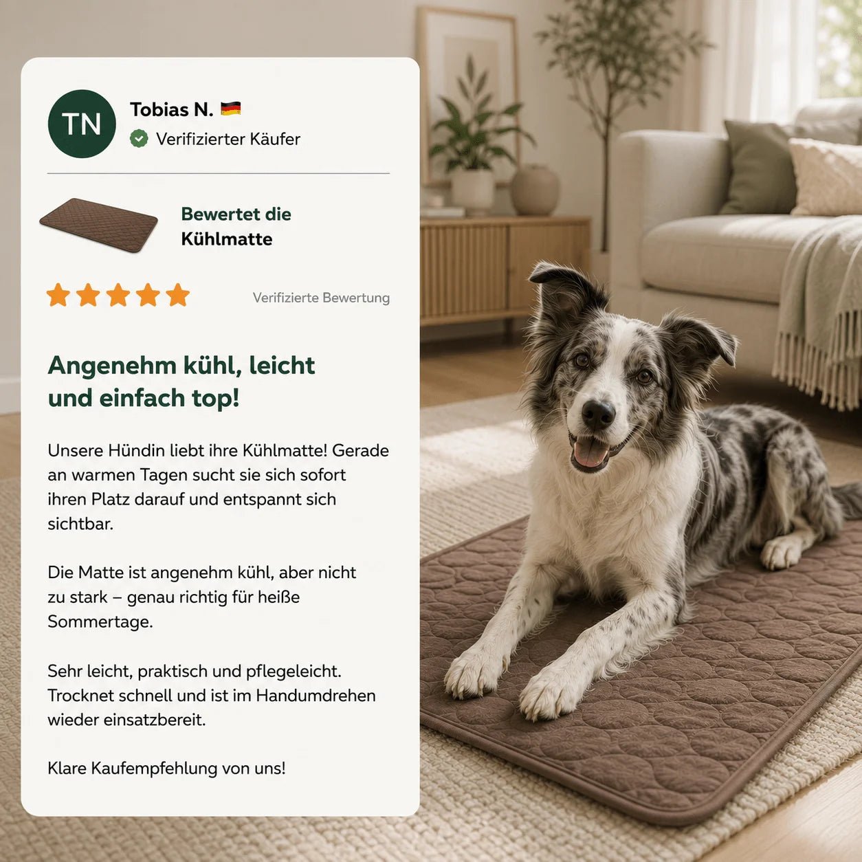 5-Sterne-Kundenbewertung zur BergBello Kühlmatte: Australian Shepherd liegt auf brauner Kühlmatte im Wohnzimmer